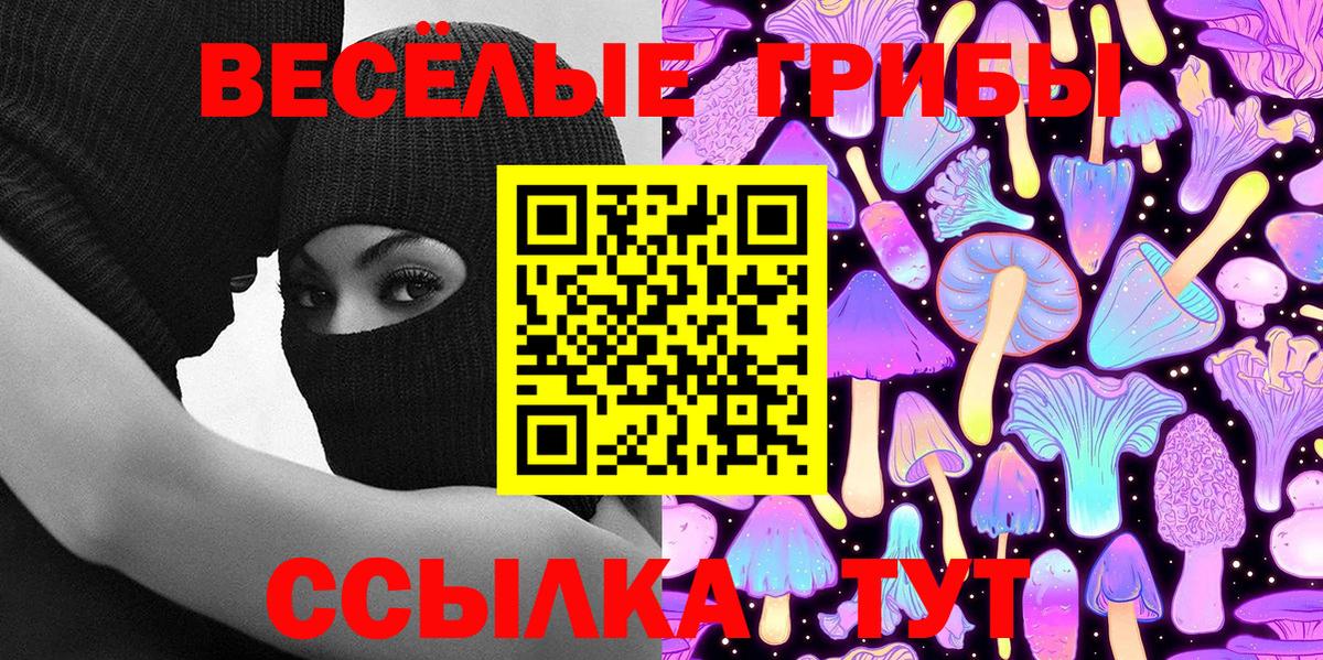 Чернушка  Псилоцибиновые грибы Psilocybine cubensis  Вход с VPN 